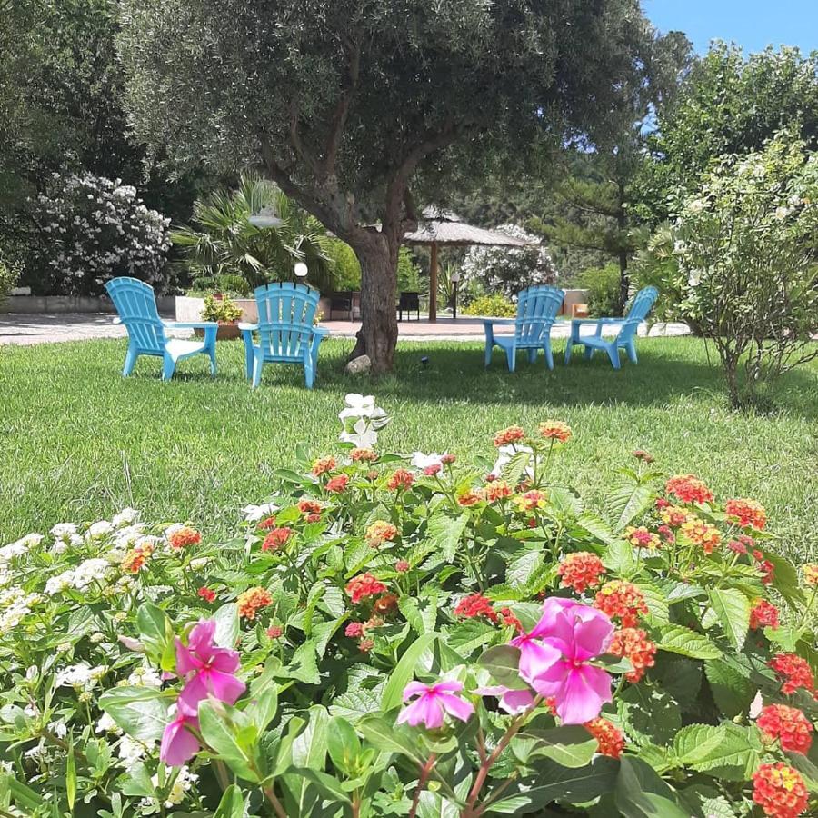 Hotel Parco Delle Rose Acquappesa Ngoại thất bức ảnh